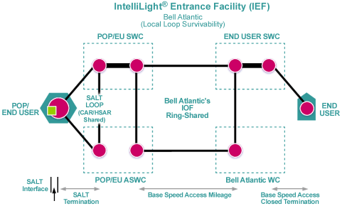 IEF Ring Configuration