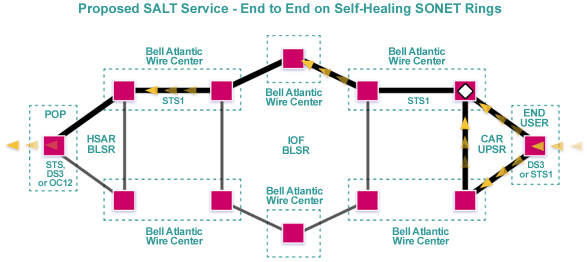Proposed SALT service - End to End on Self-Healing SONET Rings